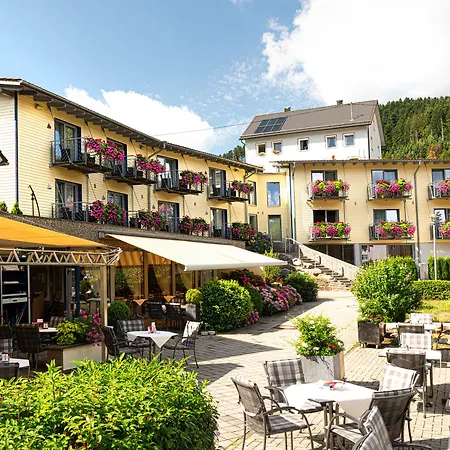 Waldblick Schenkenzell