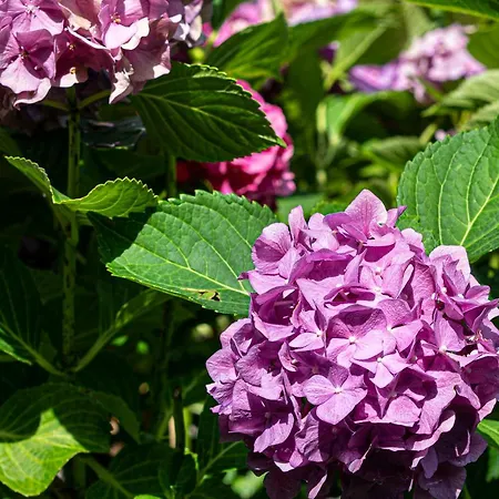 Waldblick 3* Schenkenzell