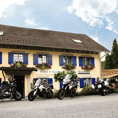 Waldblick Hotel