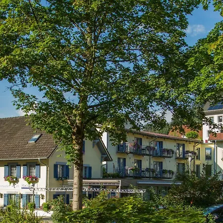 Waldblick Hotel 3*