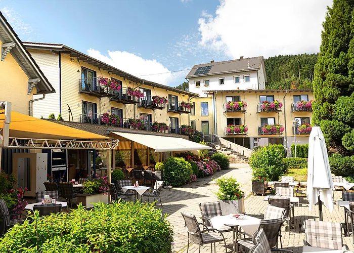 Waldblick Schenkenzell