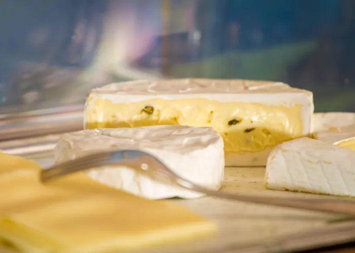 ホテル Waldblick Schenkenzell