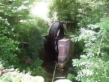 Waldblick 3* 스첸켄젤