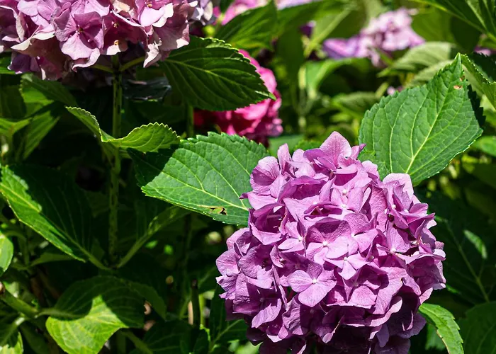 Waldblick 3* Schenkenzell